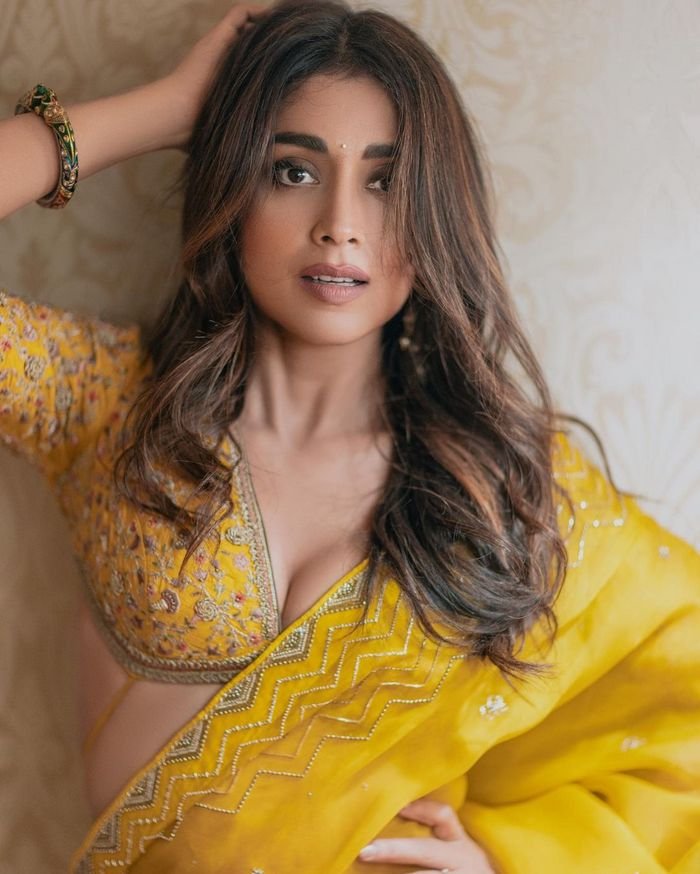 shriya saran_teluguvox 0